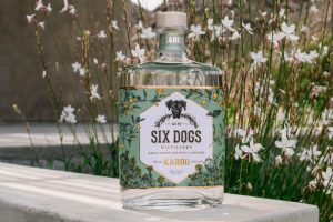 Six Dogs Karoo gin