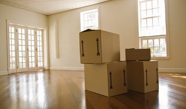 10 Essentials To Make Your New Apartment Feel Like Home