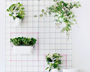 vertical wall garden 